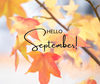 SEPTEMBER NEWSLETTER