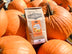 Pumpkin Spice Coffee - 12 oz
